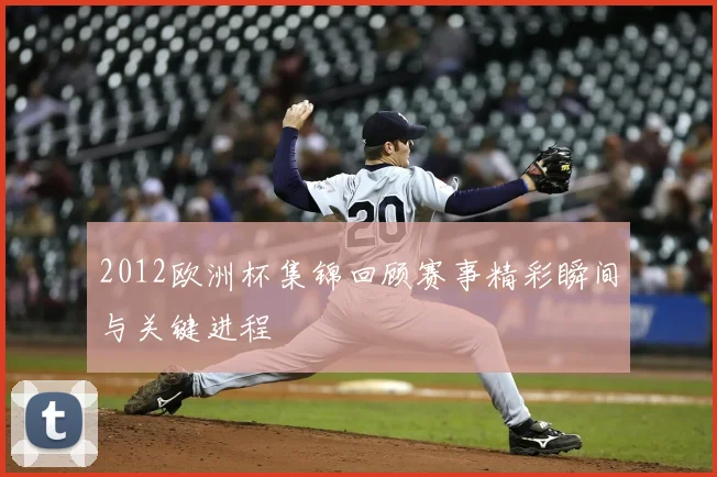 2012欧洲杯集锦回顾赛事精彩瞬间与关键进程