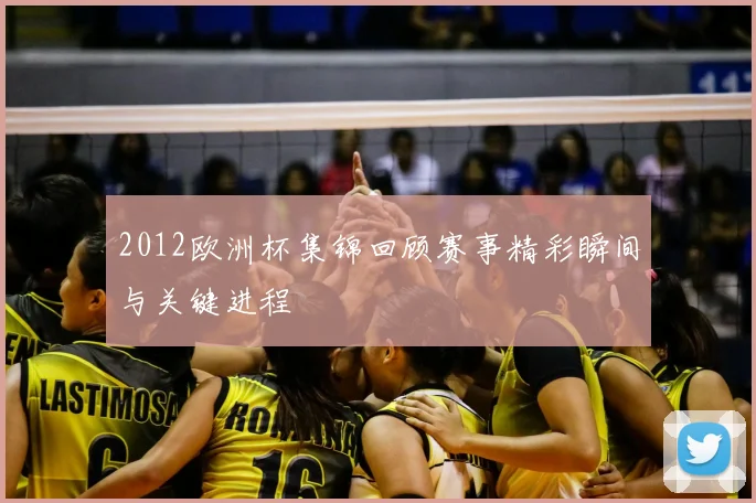 2012欧洲杯集锦回顾赛事精彩瞬间与关键进程